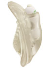 Sinclair Institute Select Invisi-Vibe